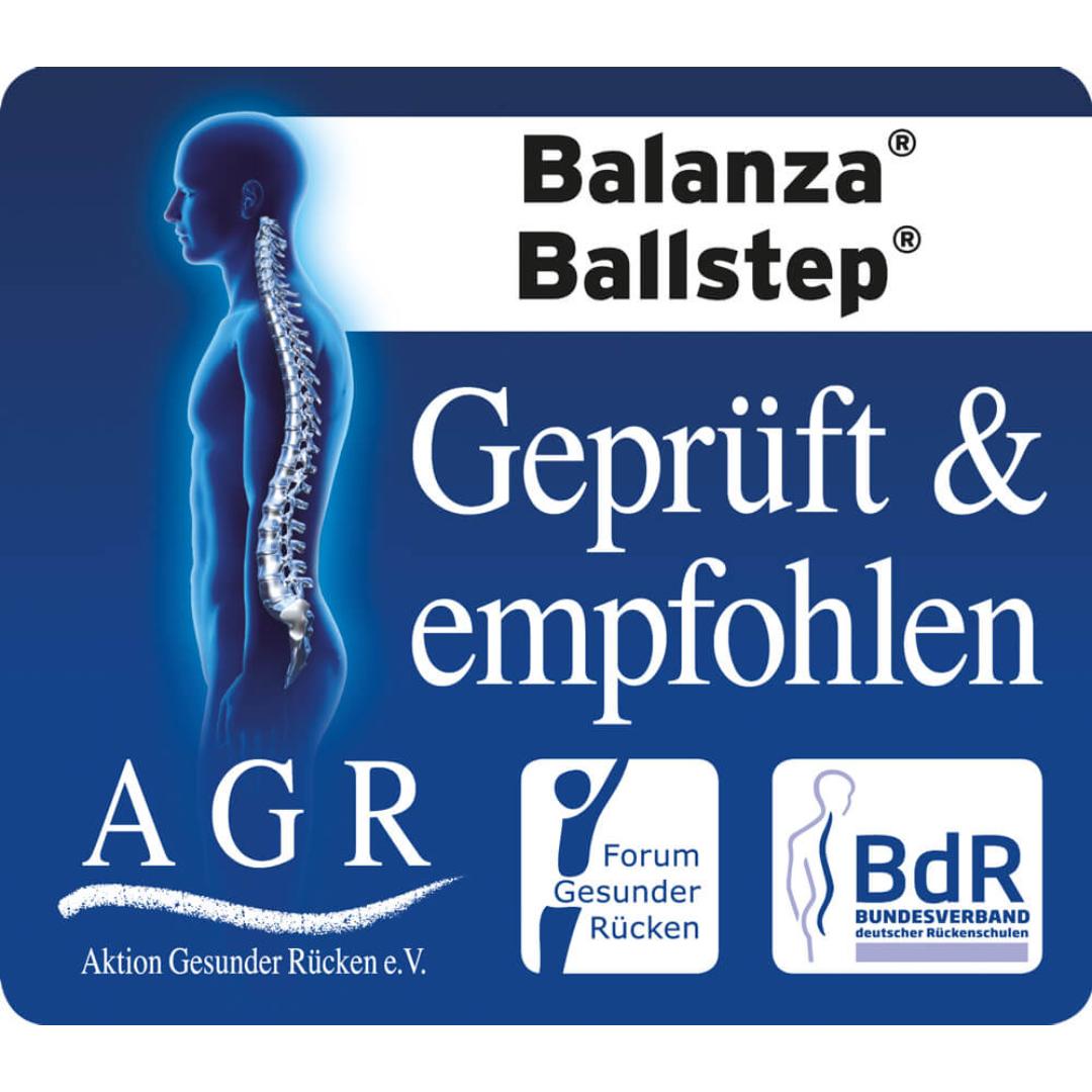 פיתה באלאנס (כרית זיזים) Ballkissen® XL – תמונה 2