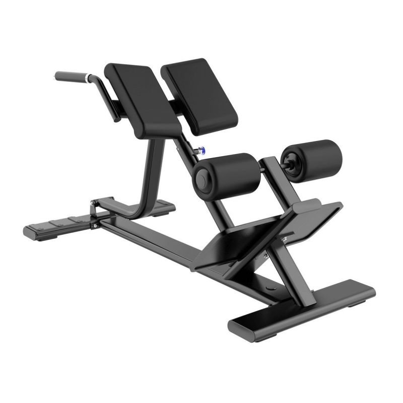 זוקפי גב Back Extension
