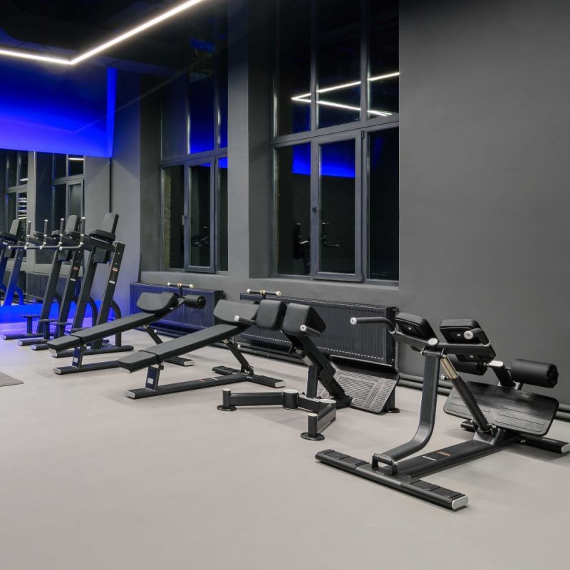 זוקפי גב Back Extension – תמונה 5