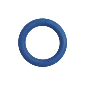 טבעת משקל רב תכליתית 2.5 ק"ג FASZIO Ring