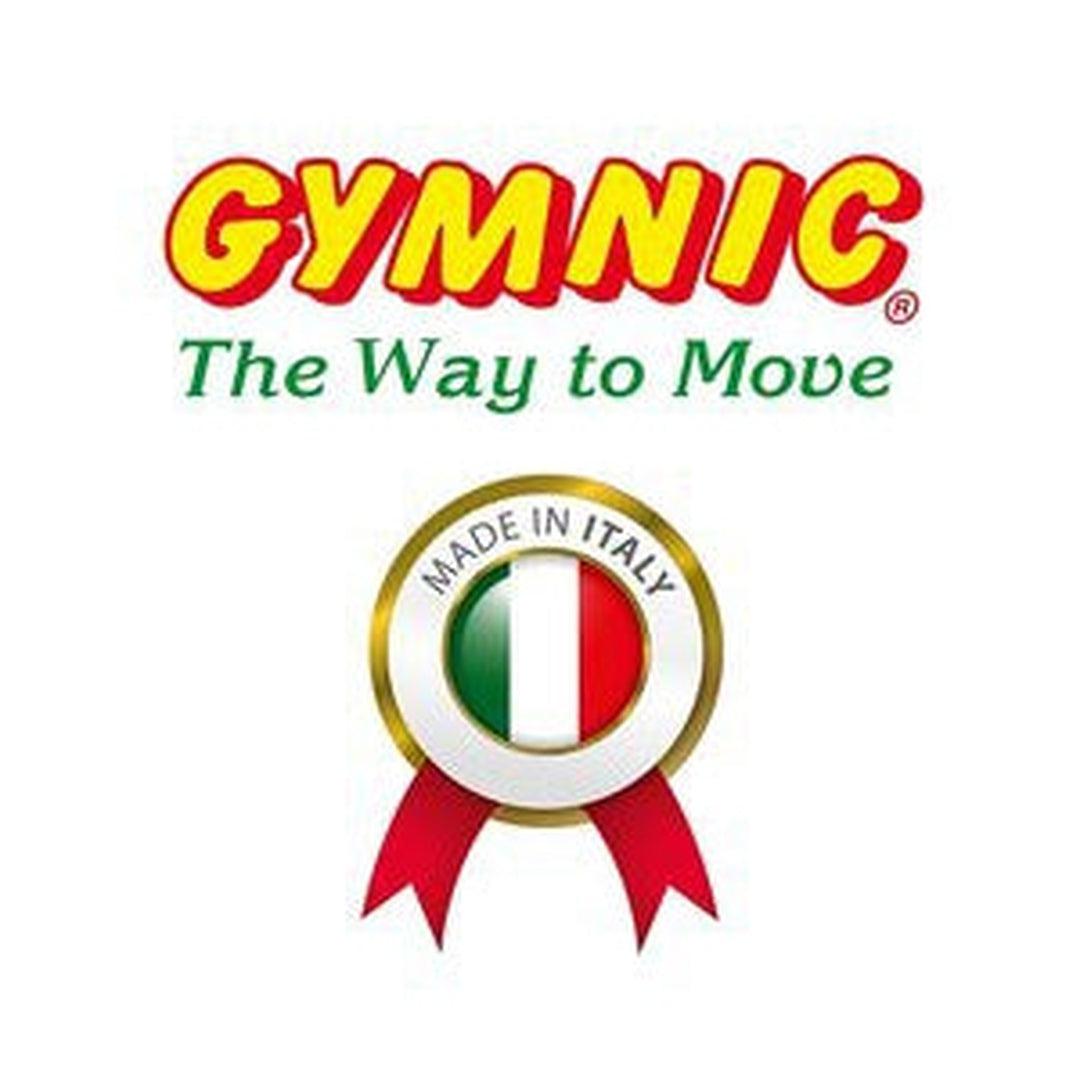 כדור פיזיו שחור 65 ס"מ Gymnic Plus BRQ – תמונה 8